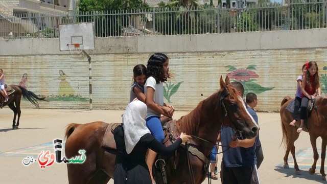 كفرقاسم - فيديو  : تعليم هواية ركوب الخيل في مدرسة جنة ابن رشد في اليوم الرابع لصيف الصادقة 